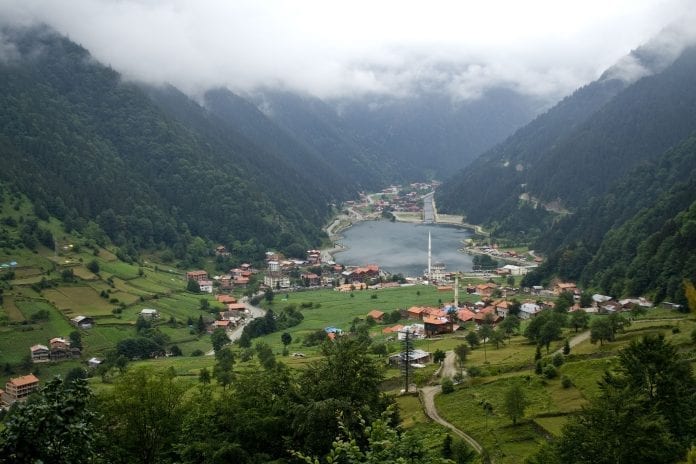 Trabzon Uzungöl'de Tıraş Kararı! Trabzon Uzungöl'de Tıraş Kararı!